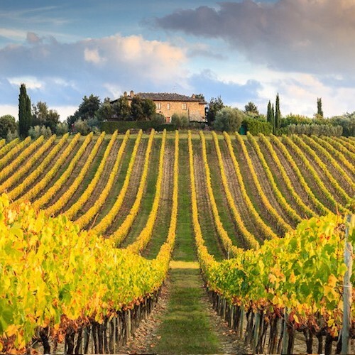 Toscana Tasting: Exploring central Italy